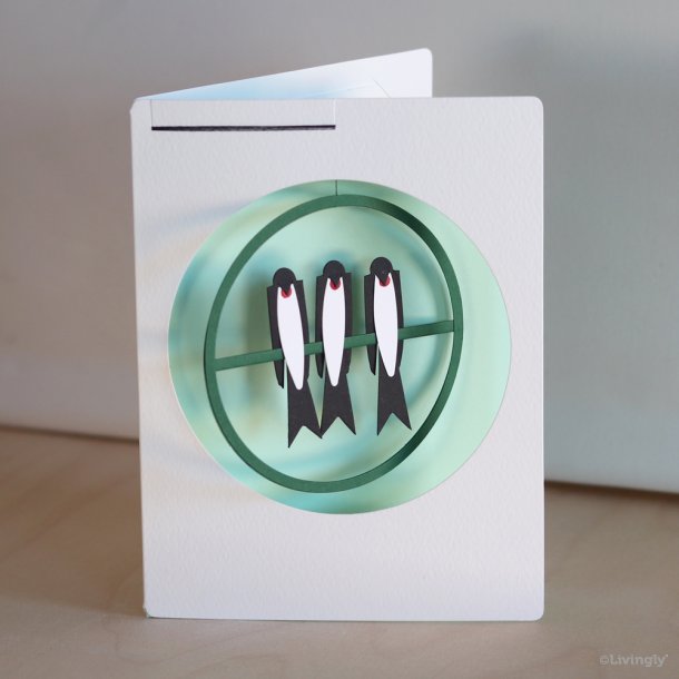 Swallows in Card