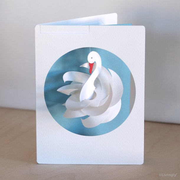 Swan in Card