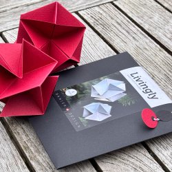 Molecule Mini, red, single ornaments, 2 pcs.