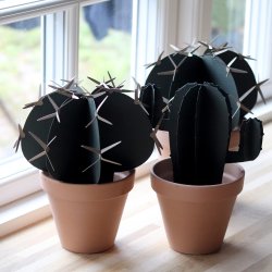 Cactus with arms, small