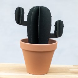 Cactus with arms, small
