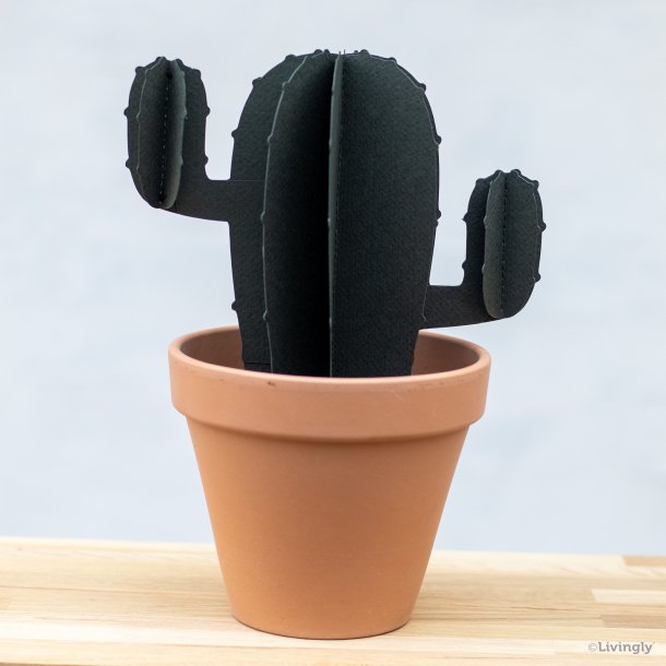 Cactus with arme, small