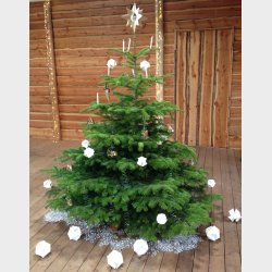 Molekyle Mini, hvid, enkelt, 2 stk.  