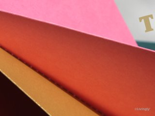 Samarbejde med Tivoli