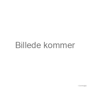 Den Kongelige Samling